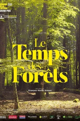 Affiche du film Le Temps des forêts