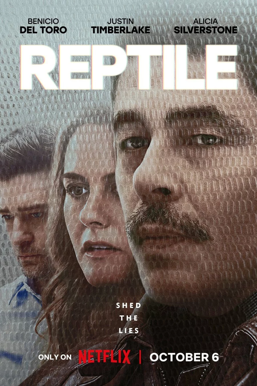 Photo 6 du film : Reptile