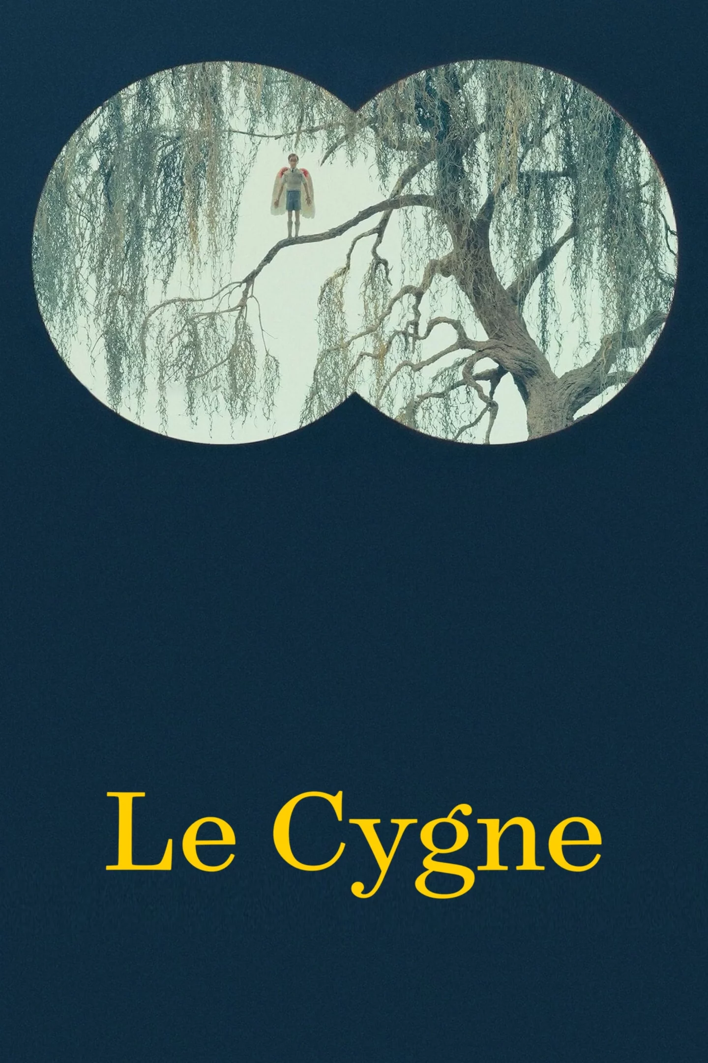Photo 1 du film : Le Cygne