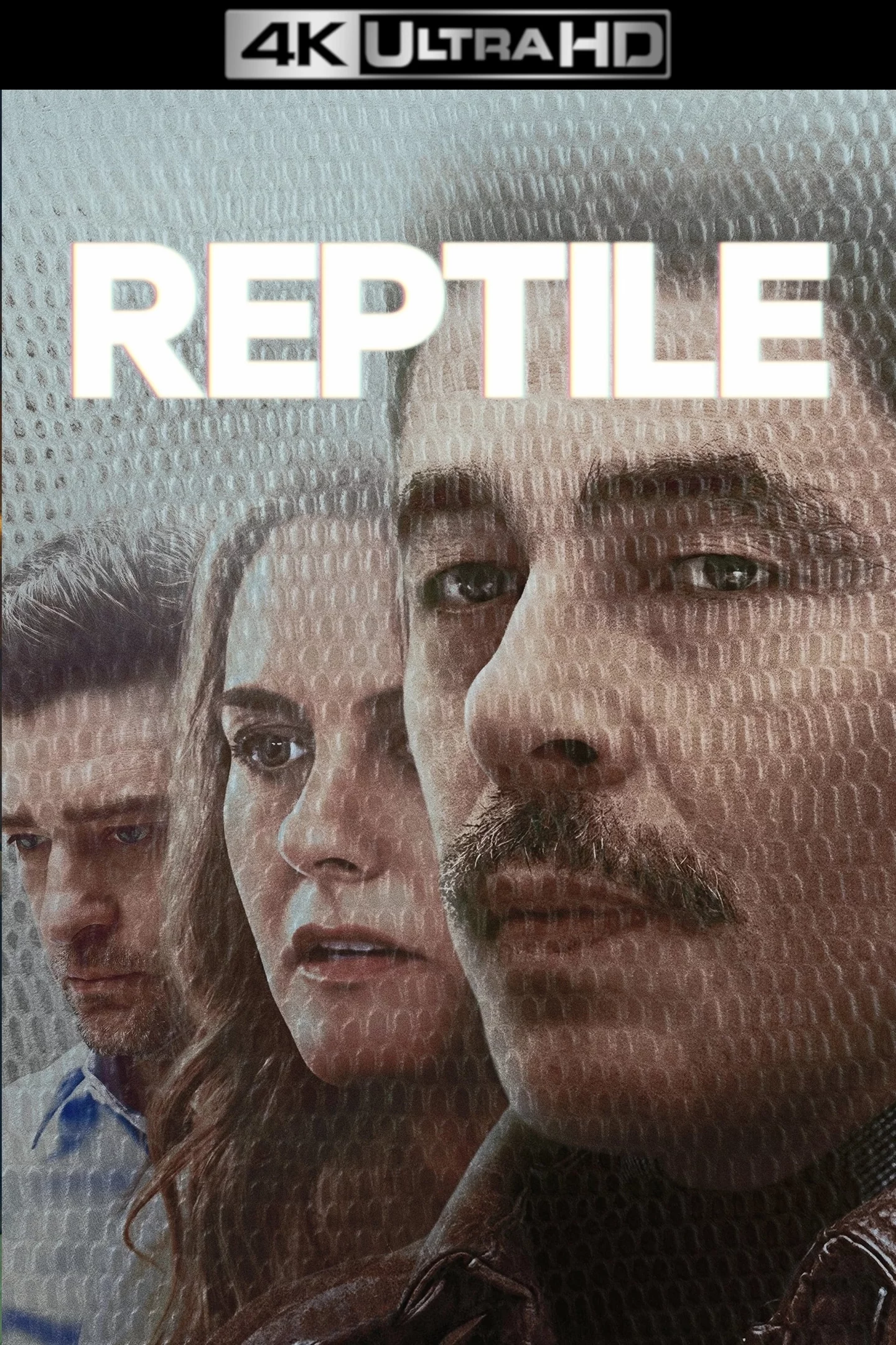 Photo 15 du film : Reptile