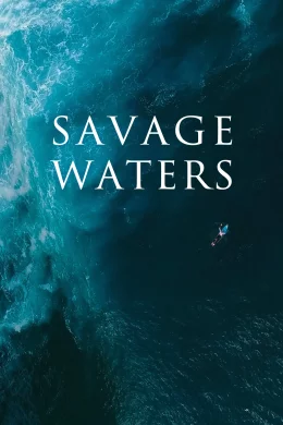 Affiche du film La vague perdue