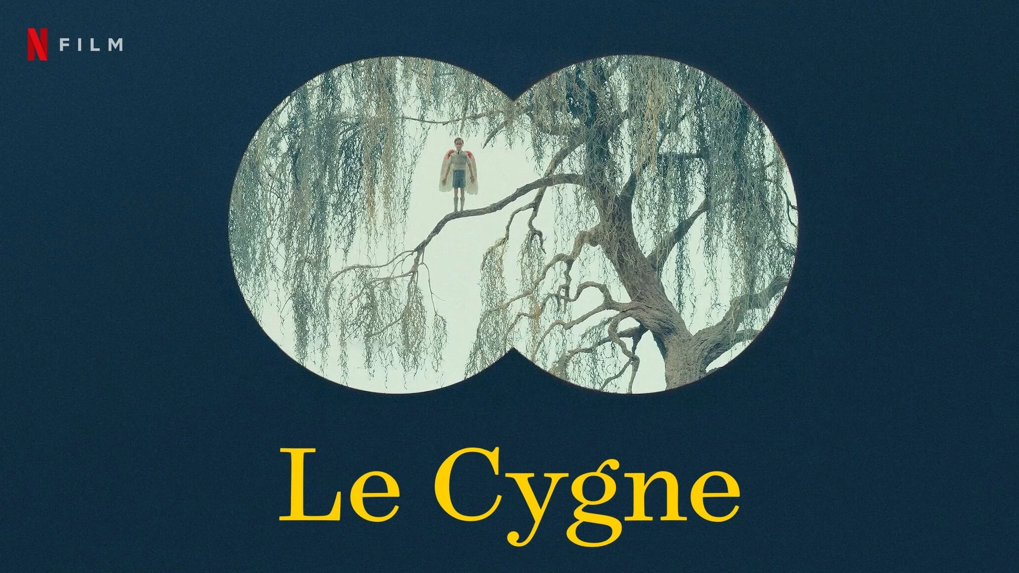 Photo 4 du film : Le Cygne