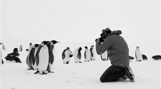 Affiche du film : Voyage au pôle sud