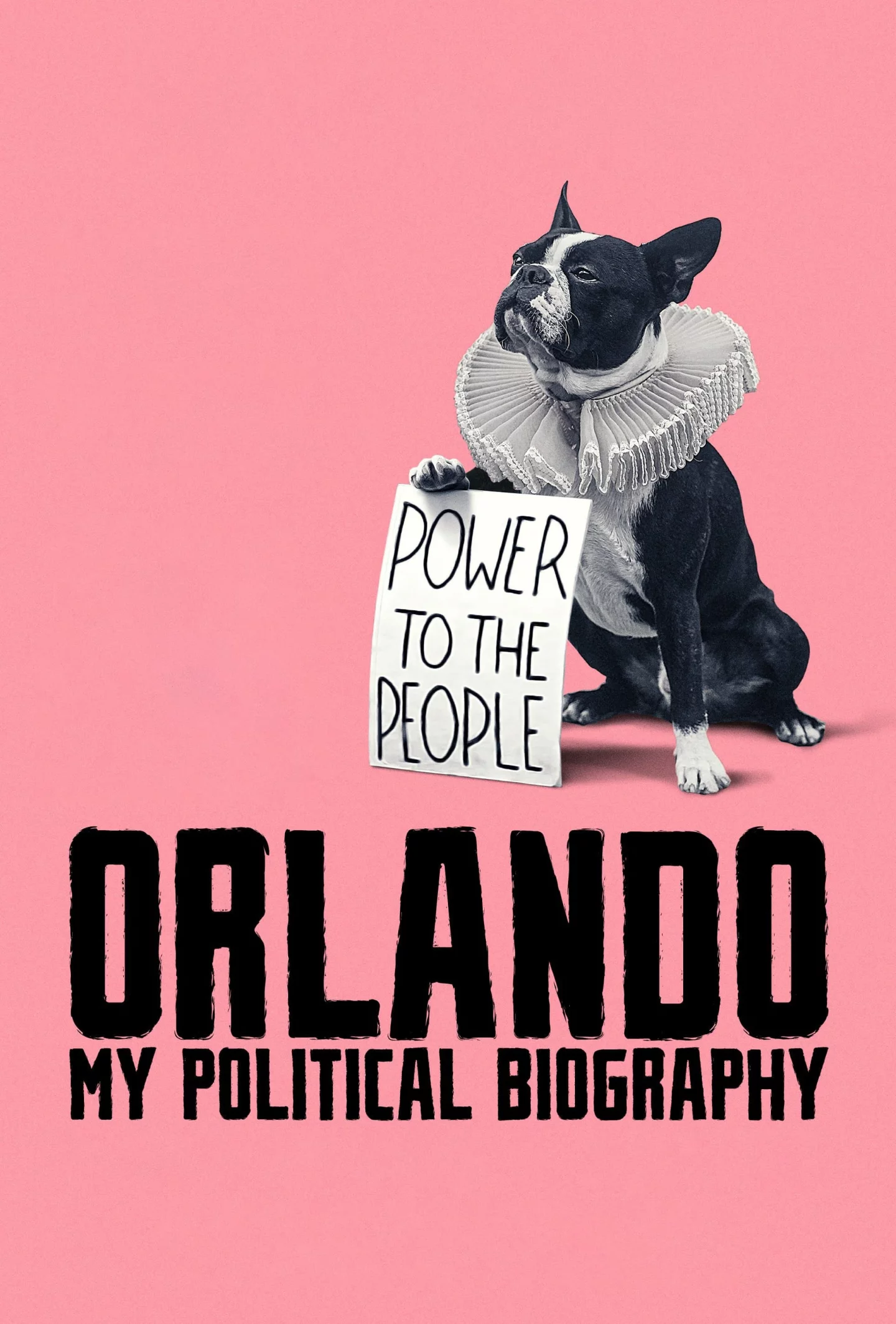Photo du film : Orlando, ma biographie politique