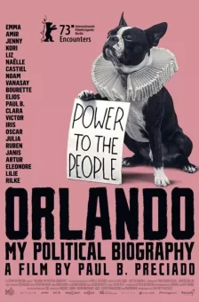 Affiche du film : Orlando, ma biographie politique