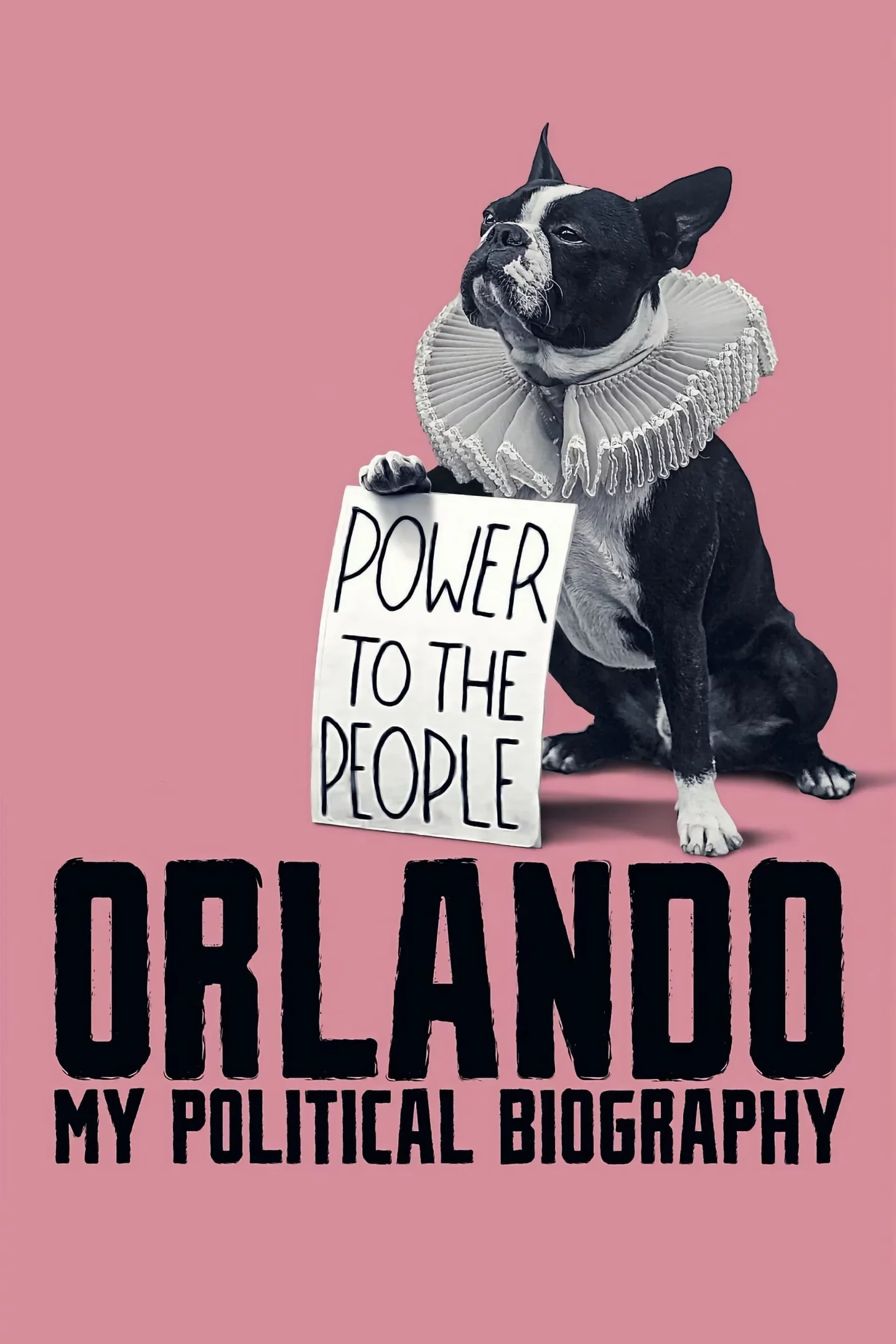 Photo 4 du film : Orlando, ma biographie politique