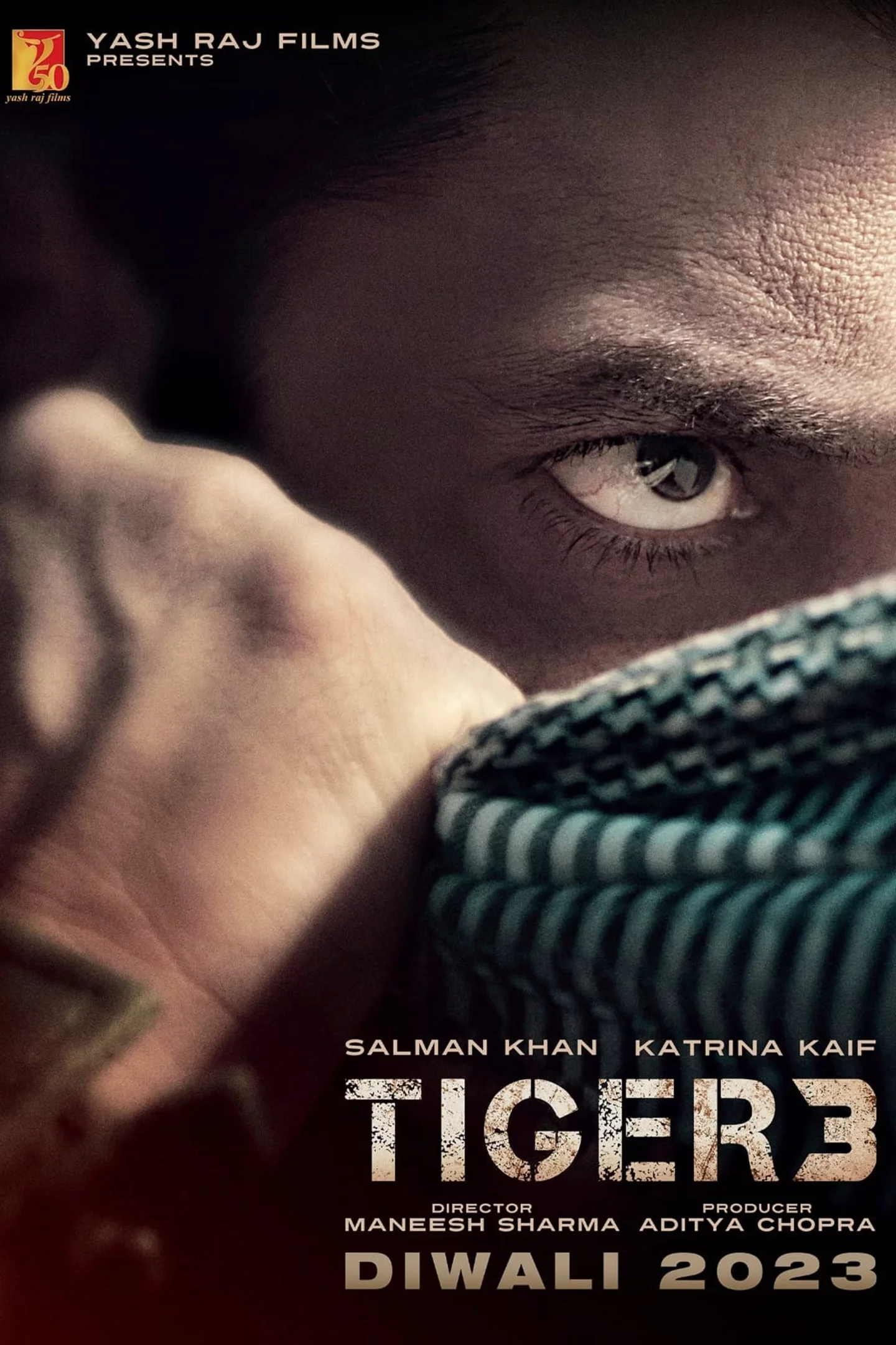 Photo 5 du film : Tiger 3