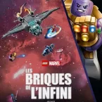 Photo du film : LEGO Marvel : Les briques de l'Infini