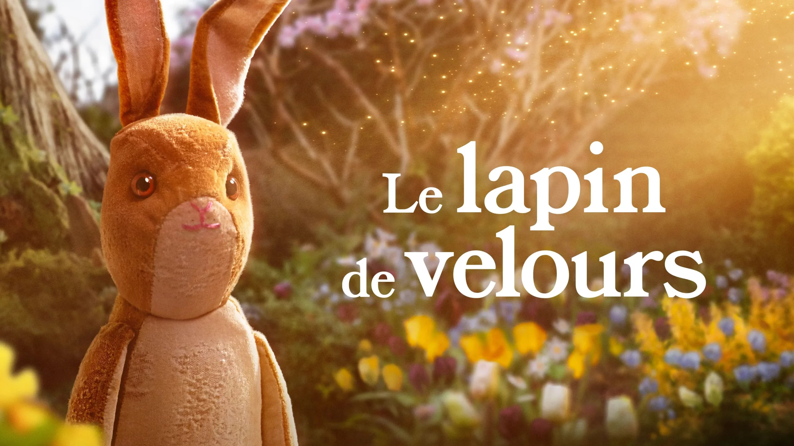 Photo 1 du film : Le lapin de velours