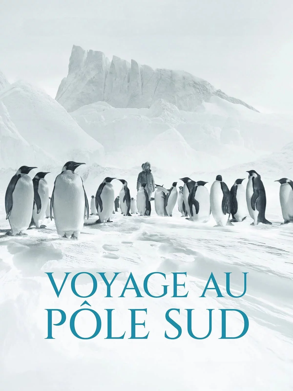 Photo du film : Voyage au pôle sud