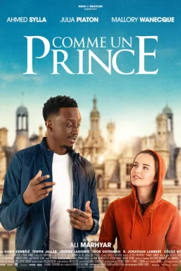 Affiche du film Comme un prince