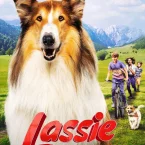 Photo du film : Lassie - Ein neues Abenteuer