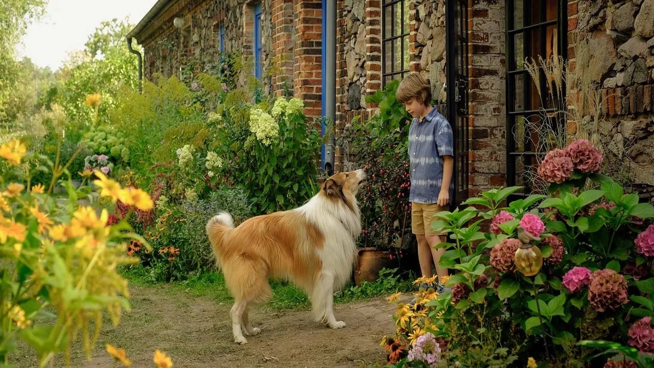 Photo 2 du film : Lassie - Ein neues Abenteuer