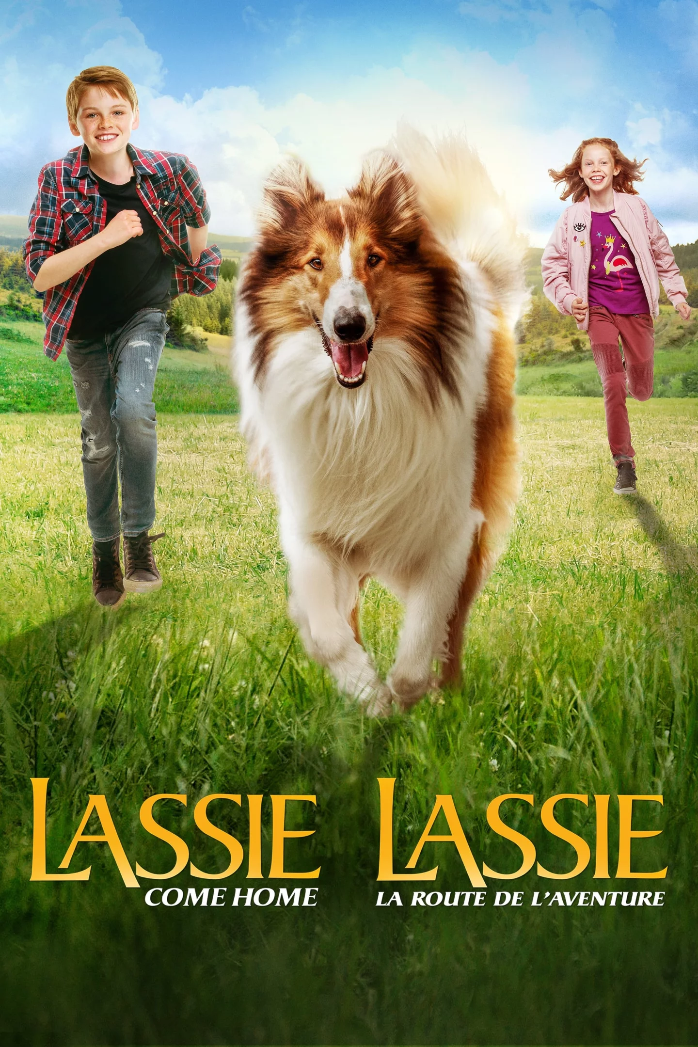 Photo du film : Lassie : La route de l'aventure