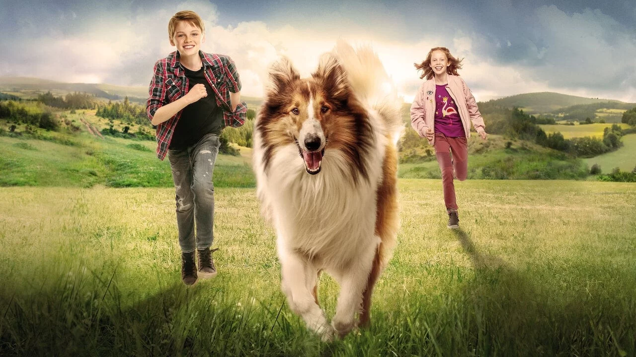 Photo 4 du film : Lassie : La route de l'aventure
