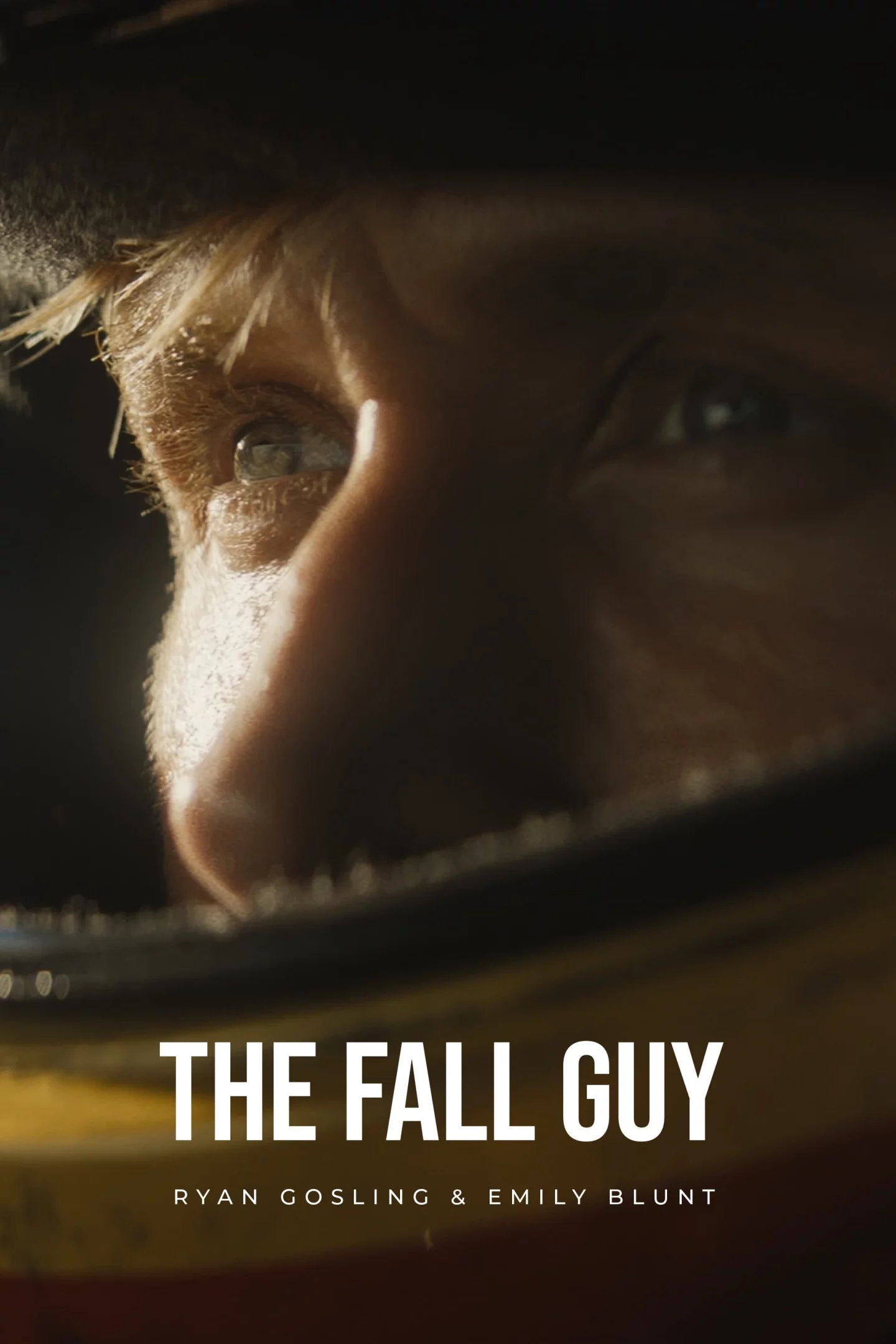Photo 7 du film : The Fall Guy