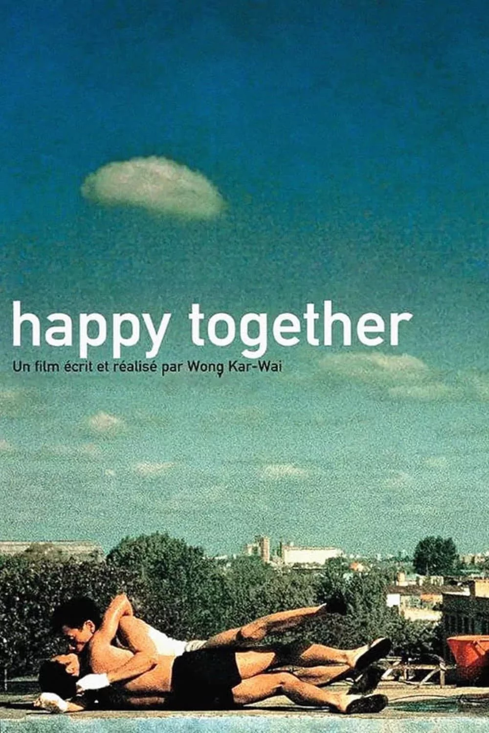 Photo 1 du film : Happy together