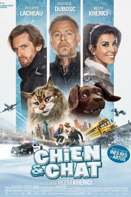 Affiche du film Chien et Chat