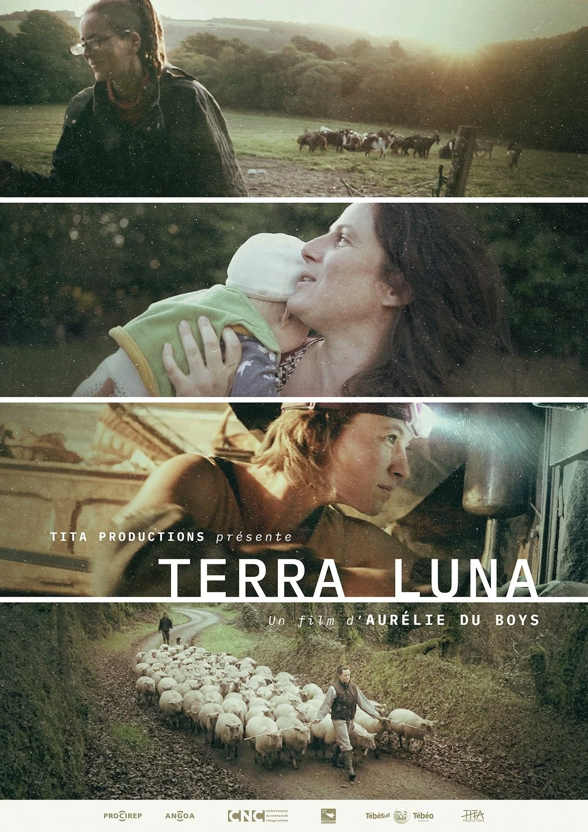 Photo 1 du film : Terra Luna