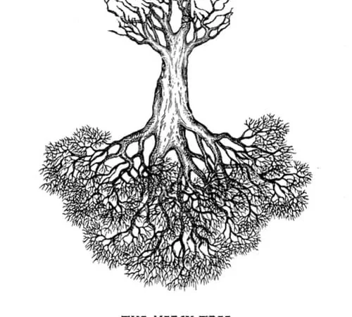 Photo du film : The Mercy Tree