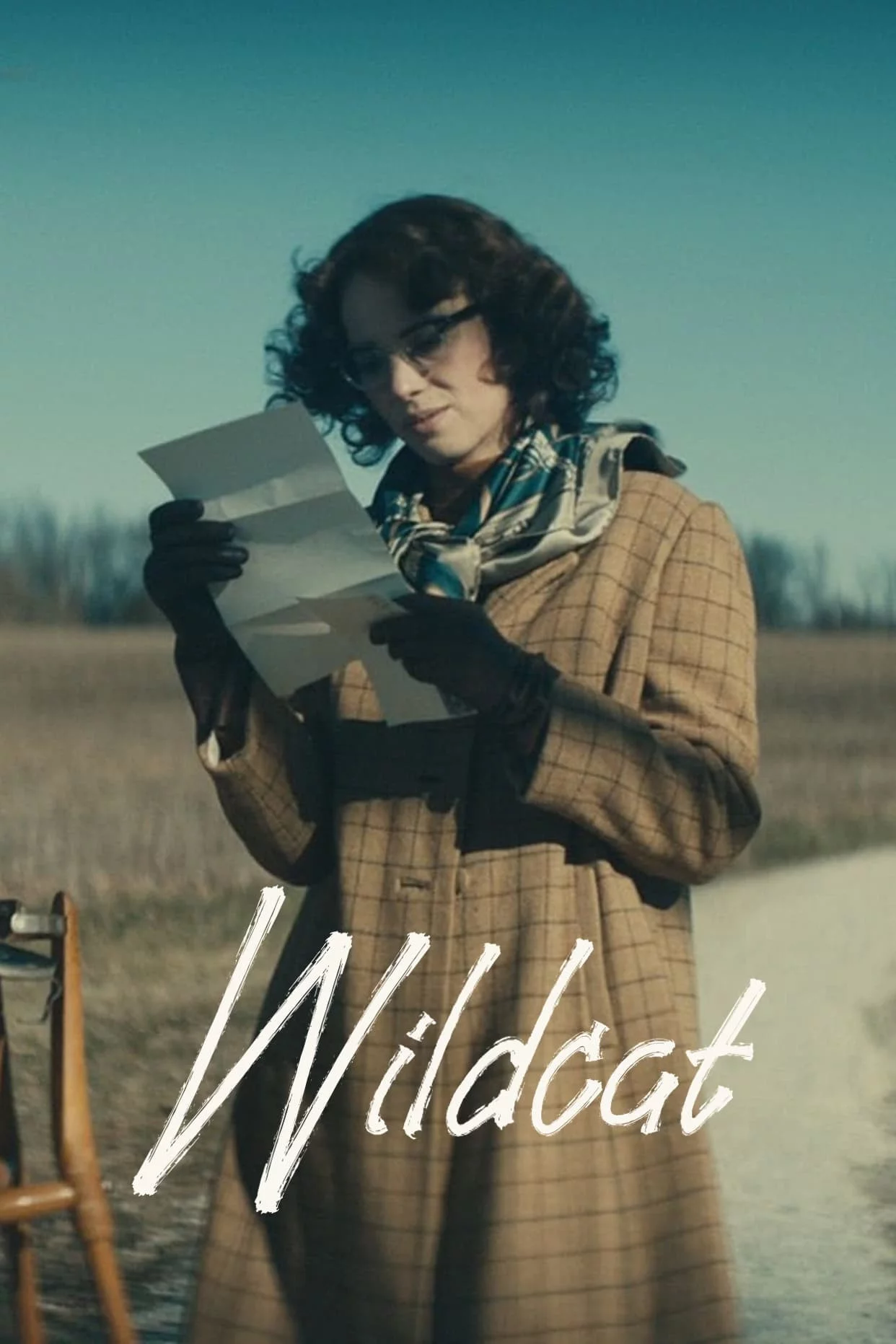 Photo 1 du film : Wildcat