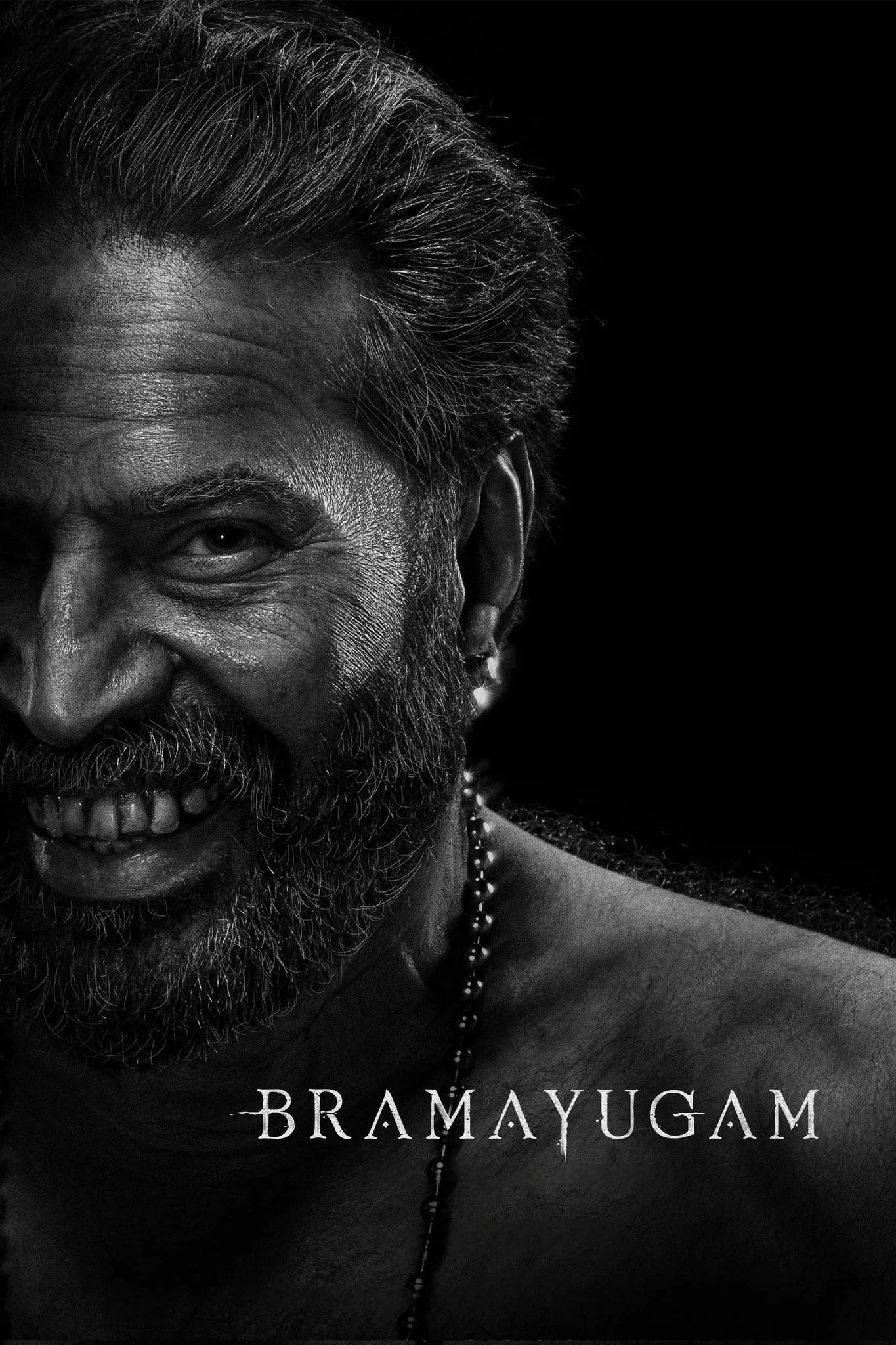Photo 6 du film : Bramayugam