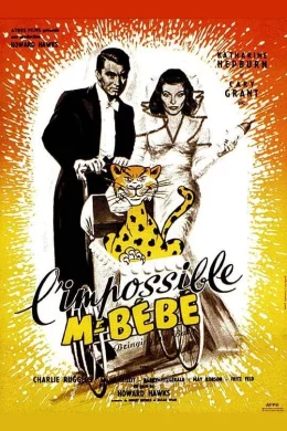 Affiche du film L'impossible monsieur bebe