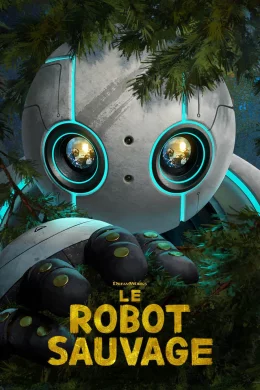 Affiche du film Le Robot sauvage