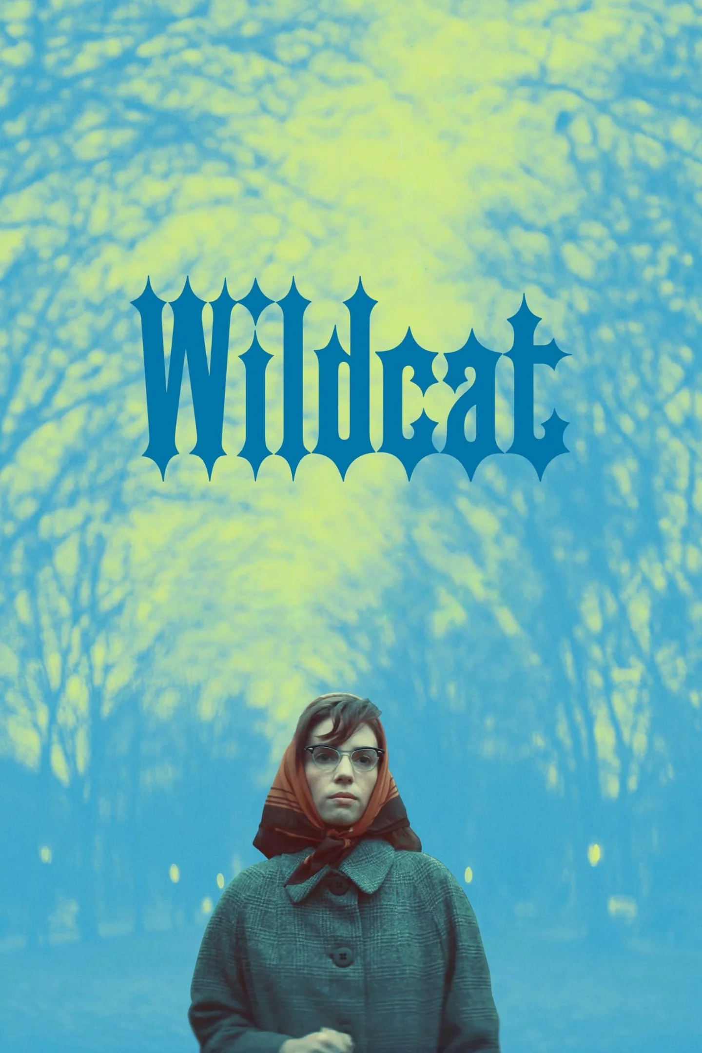 Photo 5 du film : Wildcat