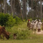 Photo du film : Vuta N'Kuvute