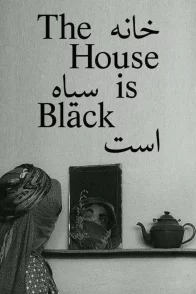 Affiche du film : La maison est noire