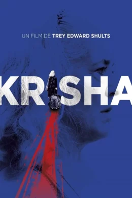 Affiche du film Krisha