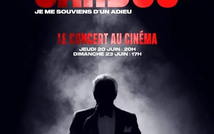 Photo du film : Michel Sardou - Le concert au cinéma