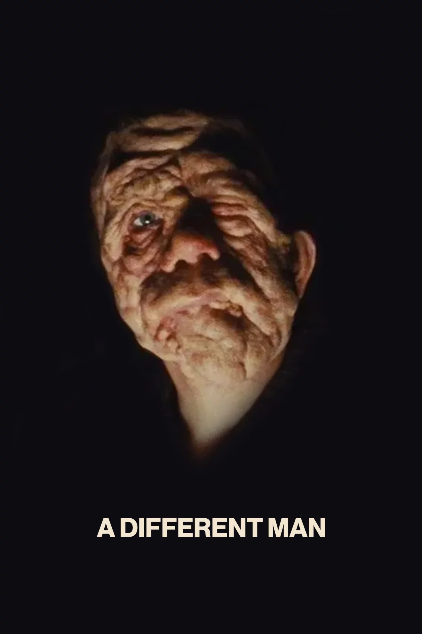 Photo 1 du film : A Different Man