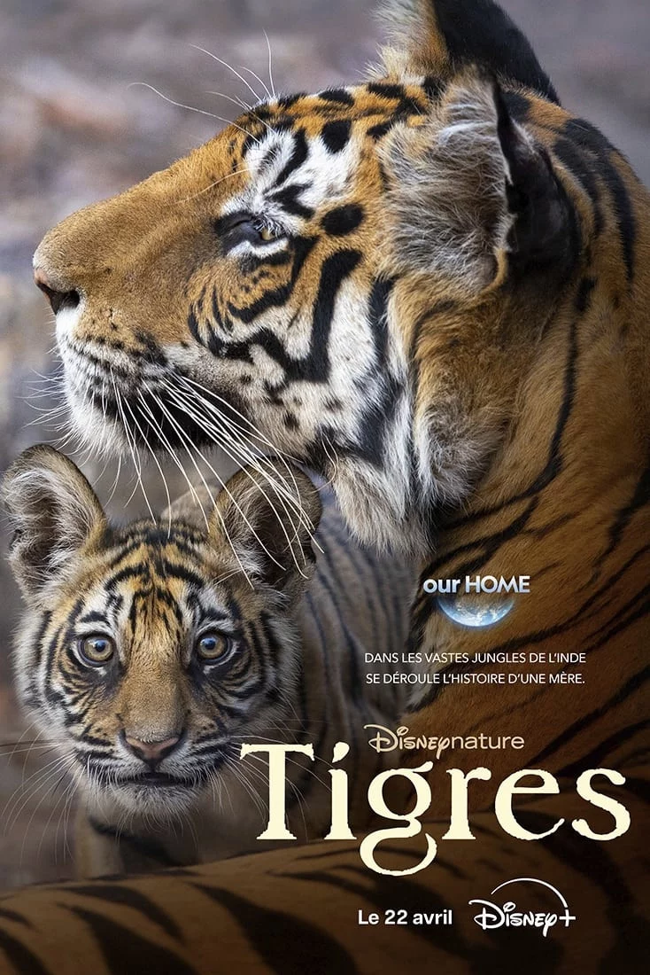 Photo 1 du film : Tigres