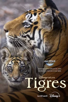 Affiche du film = Tigres