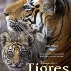 Photo du film : Tigres