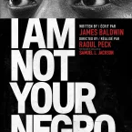 Photo du film : I Am Not Your Negro