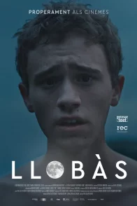Affiche du film : Llobàs