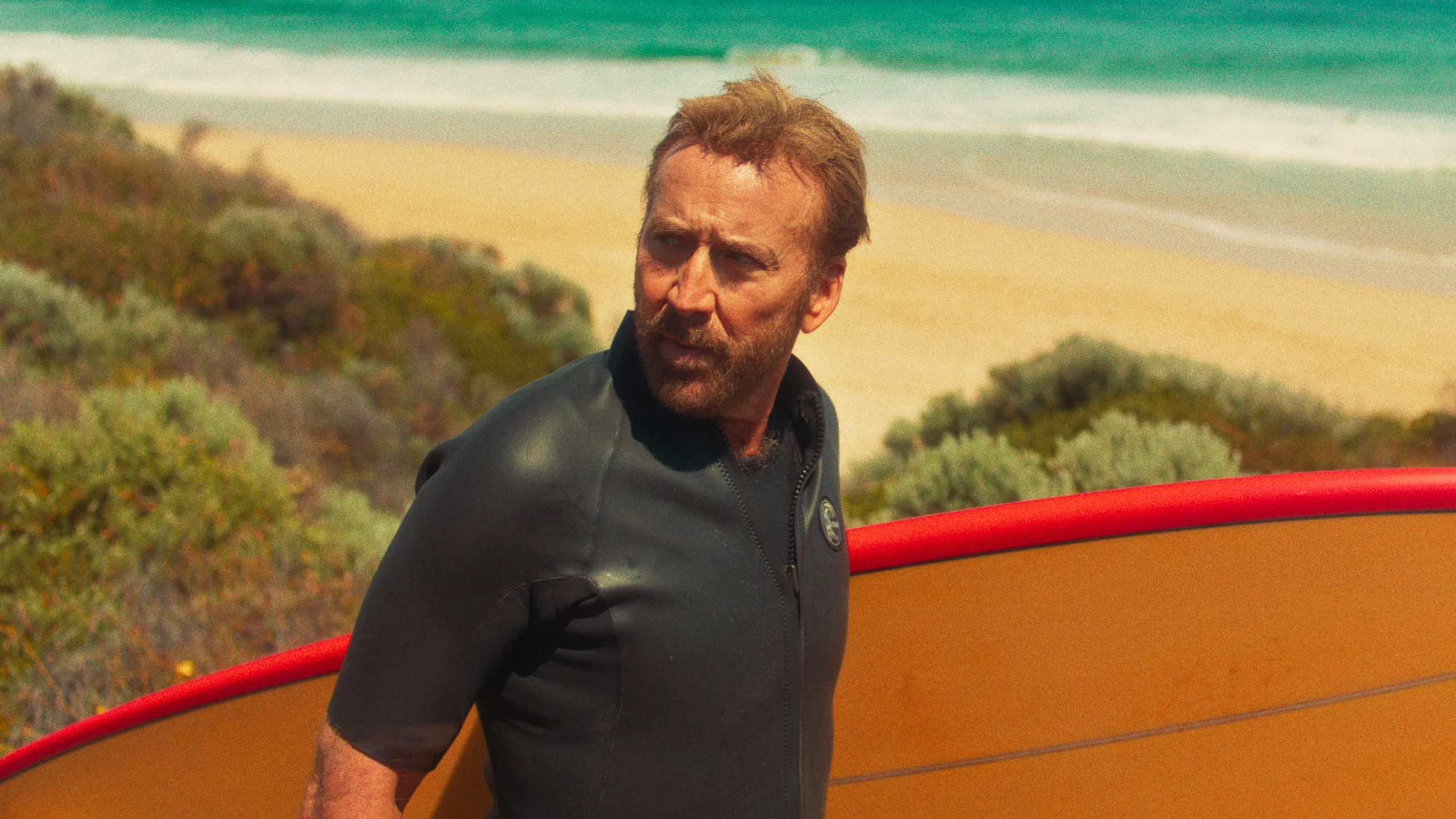 Photo 3 du film : The Surfer