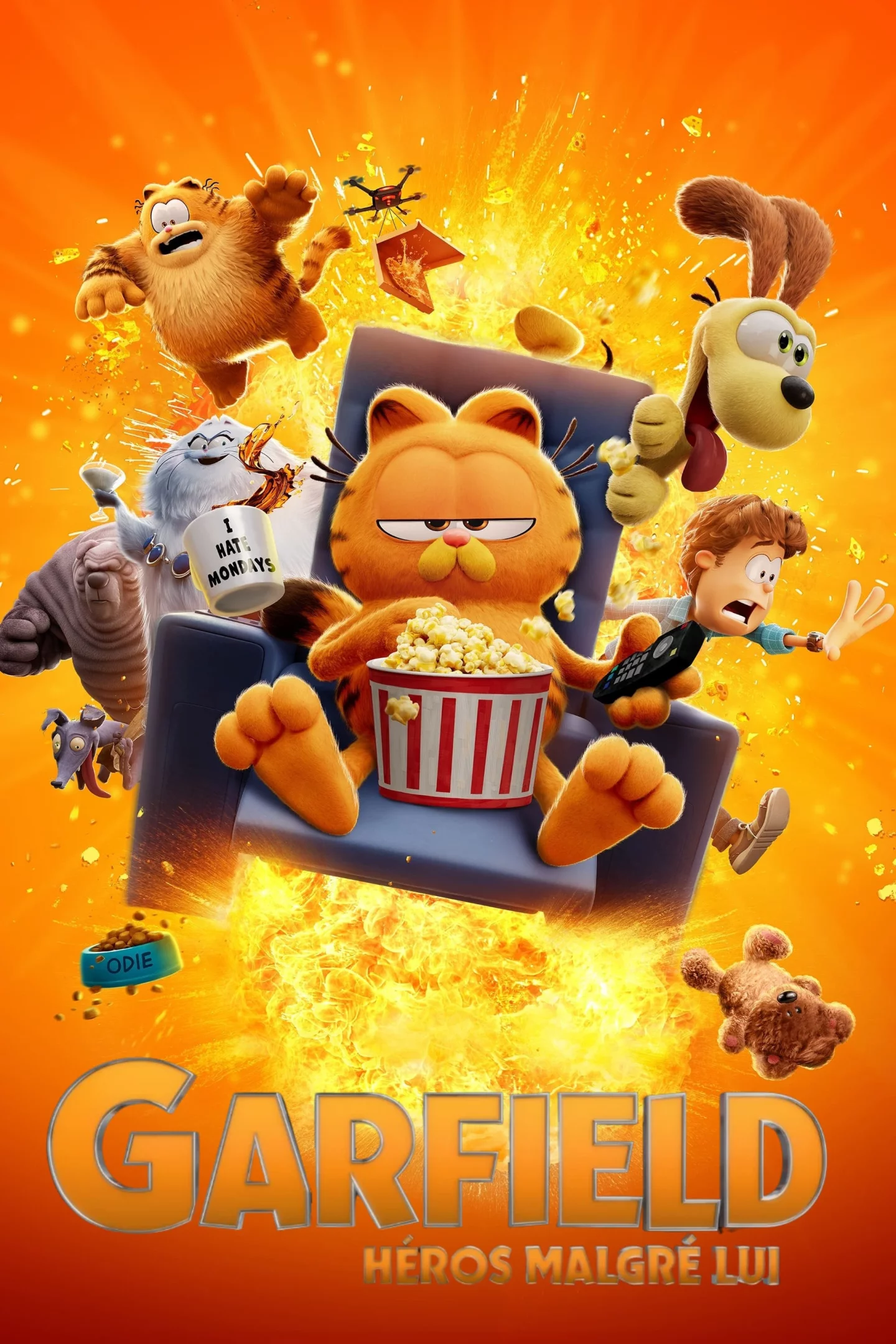 Photo 9 du film : Garfield : Héros malgré lui
