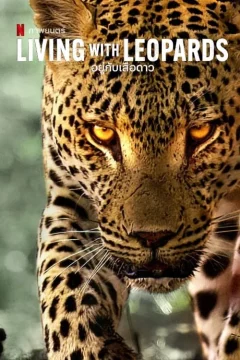 Affiche du film = Avec les léopards