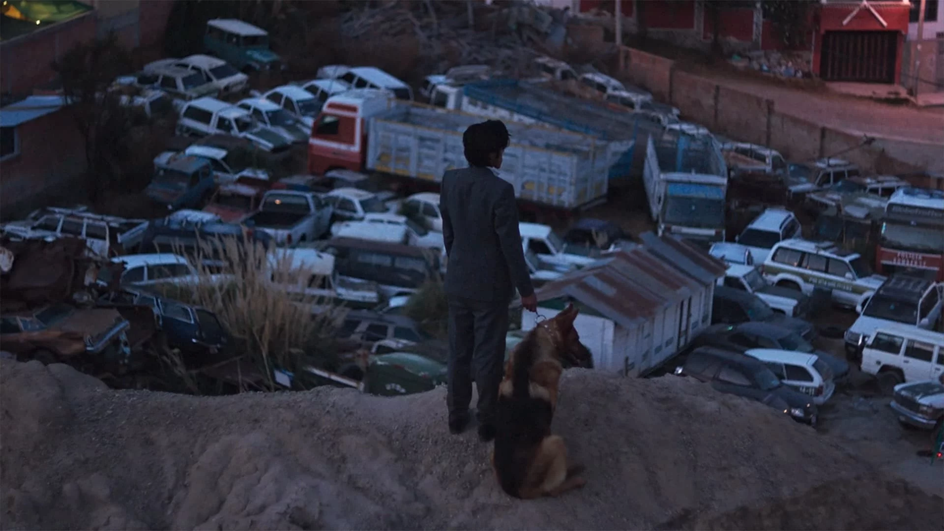 Photo 3 du film : El ladrón de perros