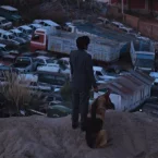 Photo du film : El ladrón de perros