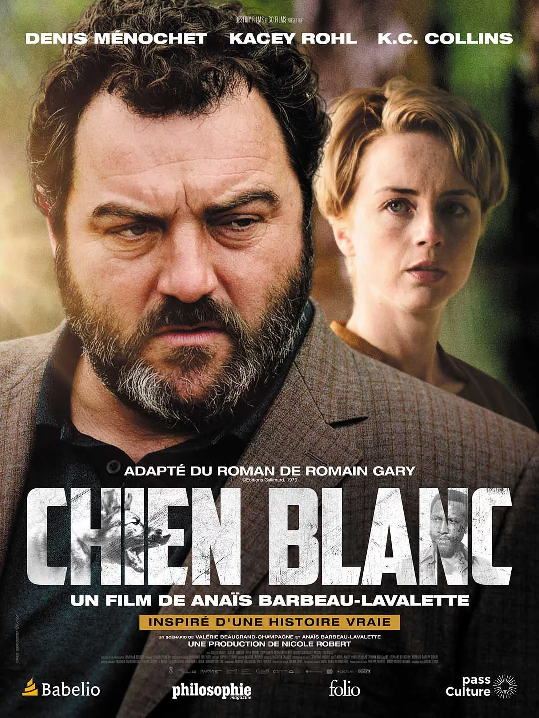 Photo du film : Chien blanc