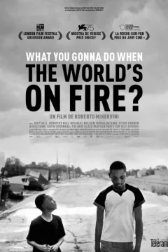 Affiche du film = What You Gonna Do When the World's on Fire ?