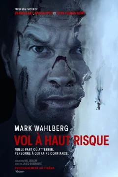 Affiche du film = Vol à haut risque