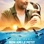 Photo du film : Mon ami le petit manchot
