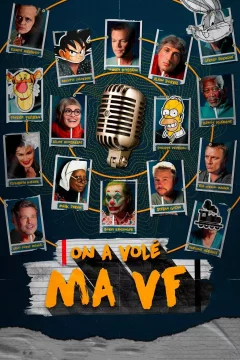 Affiche du film = On a volé ma VF