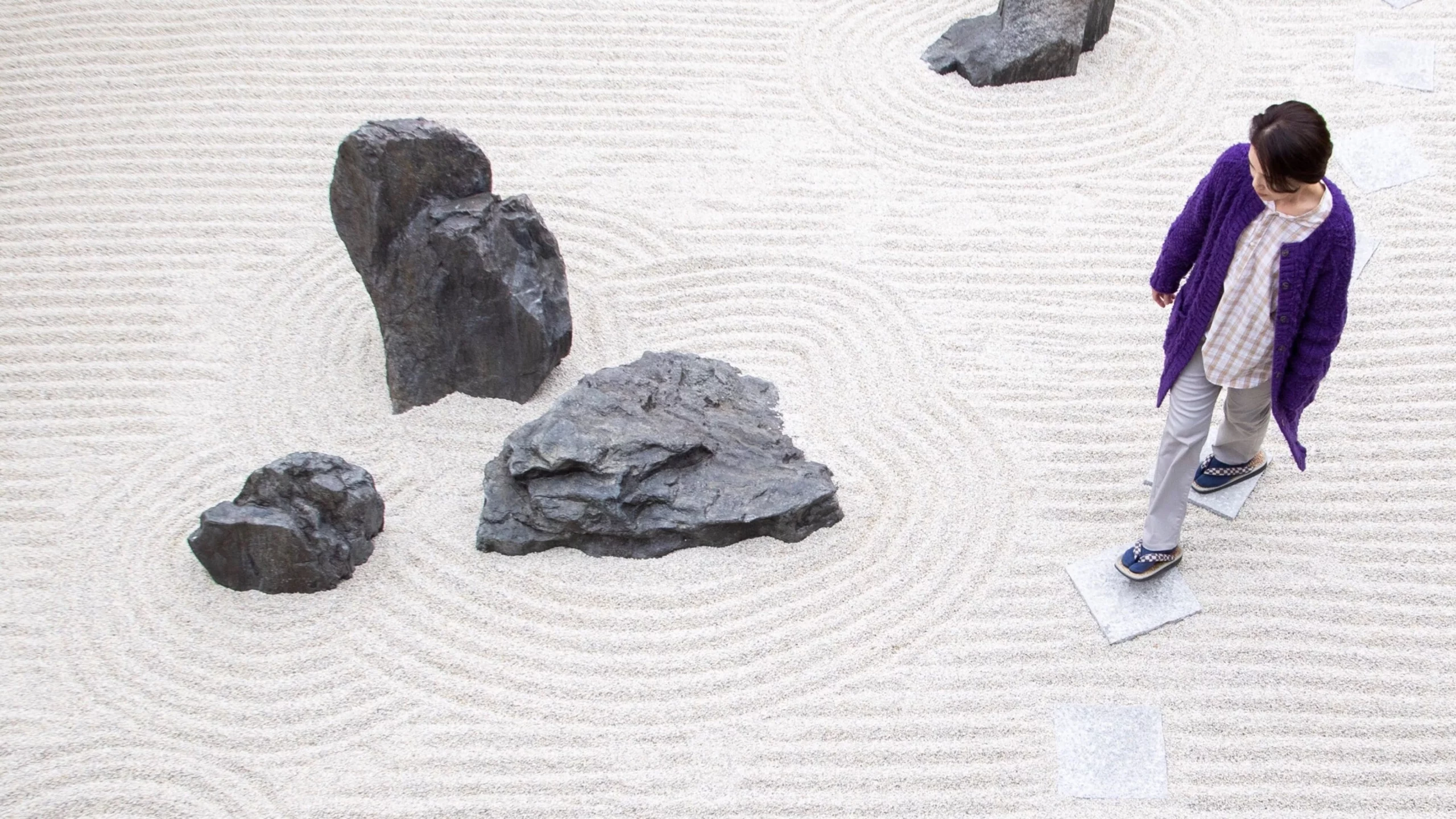 Photo 2 du film : Le Jardin zen